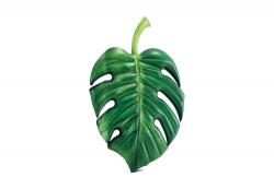 Плотик "Пальмовый лист" (213х142см) 4 шт/упак 58782 - фото 4